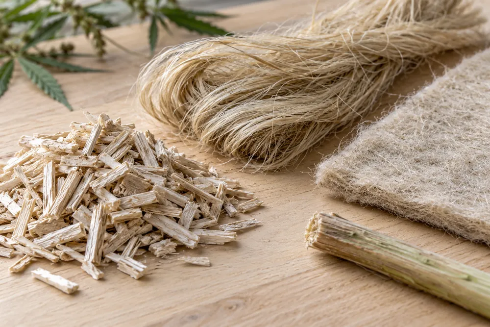 Muestras de fibras y materiales vegetales sobre una mesa
